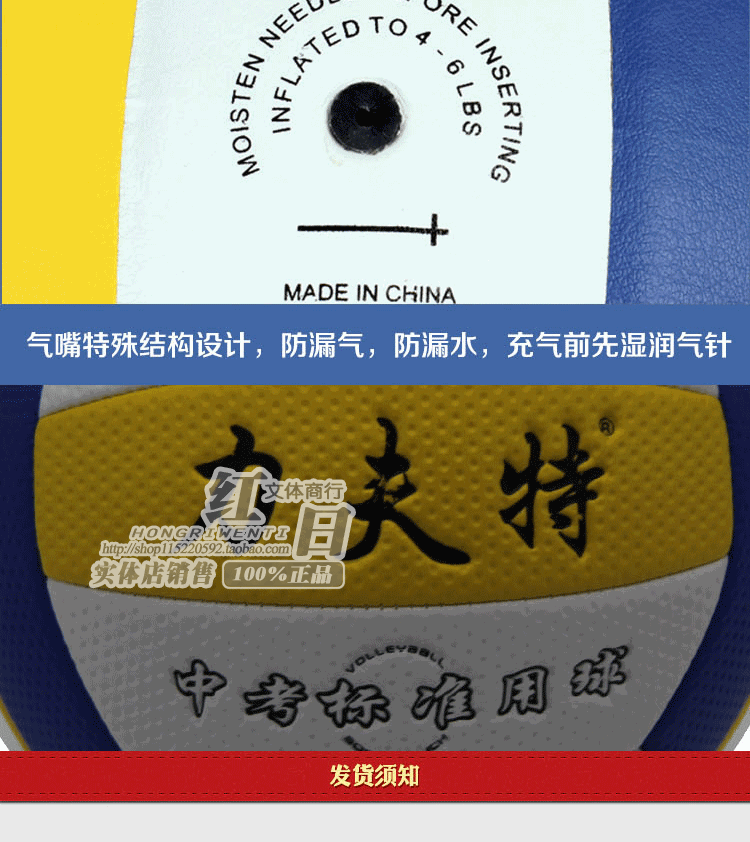 Ballon de volley - Ref 2011012 Image 10