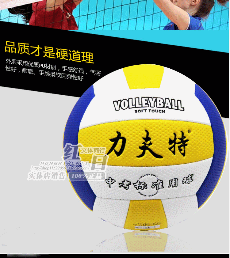 Ballon de volley - Ref 2011012 Image 6
