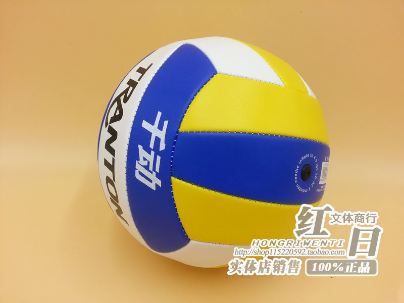 Ballon de volley-ball - Ref 2011024 Image 6