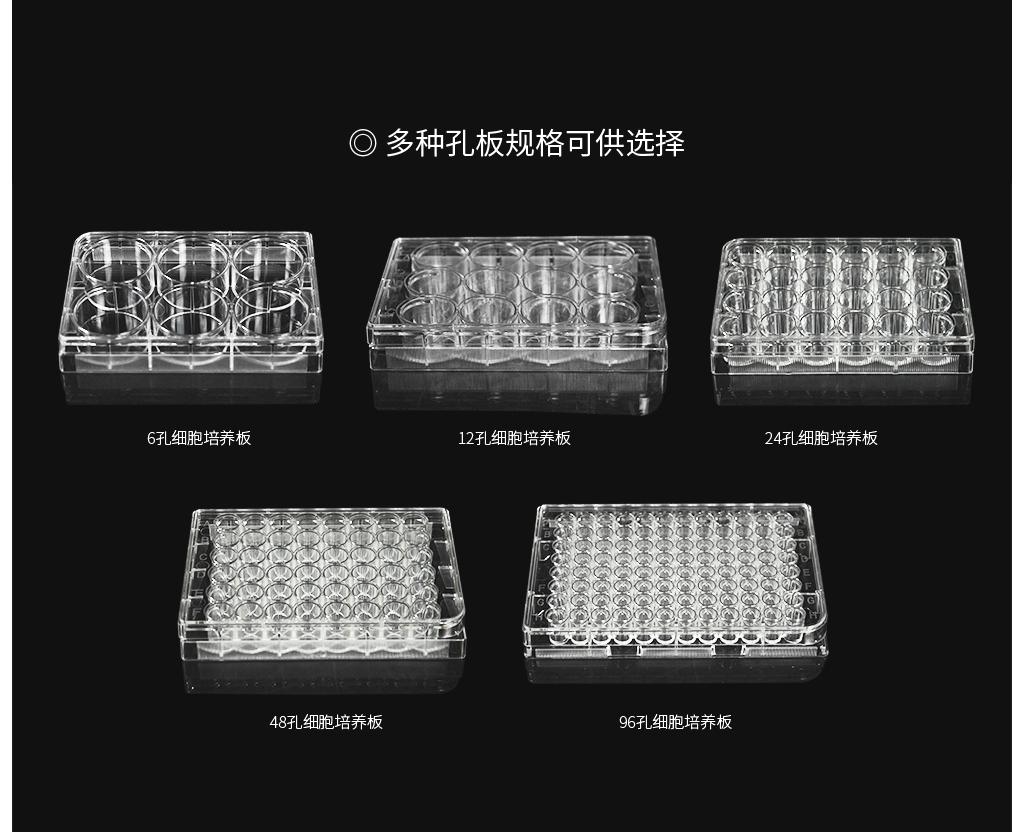 甄选细胞培养板6孔 12孔 24孔 48孔 96孔 无菌 无酶平底 纸塑包装
