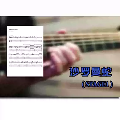 Saruman Snake STAGE1 ACOUSTIC GUITAR SOLO SCORE Accompaniment FC NES Guitar score