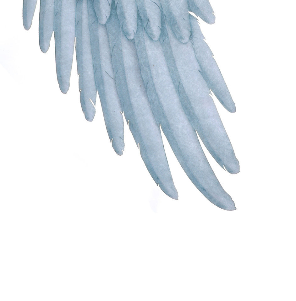 DS18001 Черно-белый ангел крылья для взрослых детей-дететаж Design_13.jpg