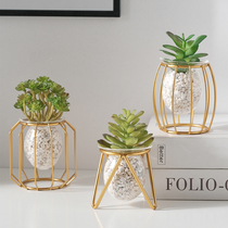 Light luxury home creative hydroponic vase decoration Office desktop green dill water plant container table decoration