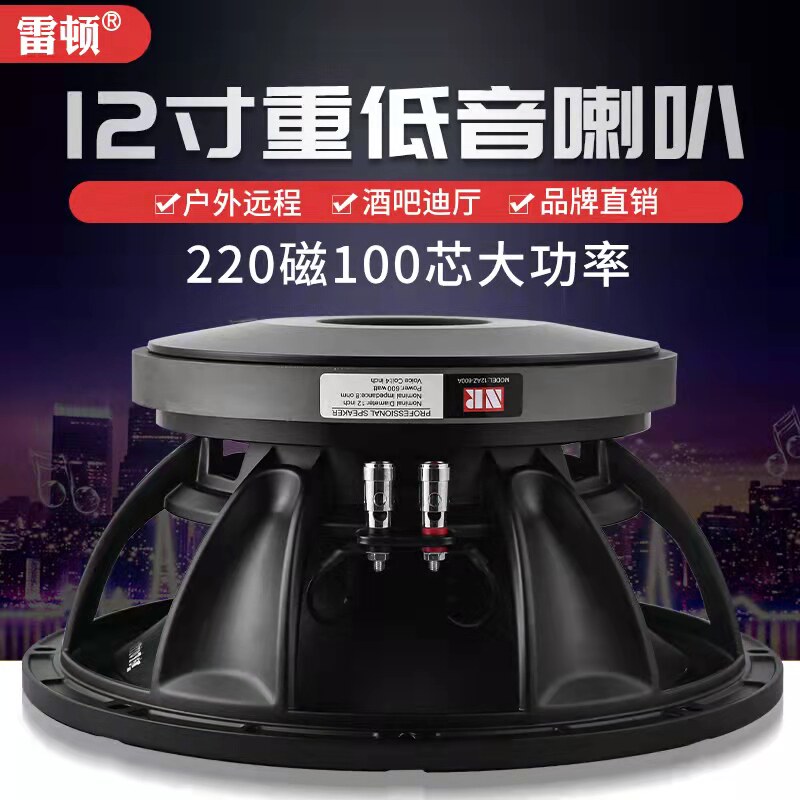 Leighton Horn 12 "220 Magnetic 100 Core Professional Stage High Power Performance Wedding Horn