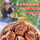 Extra easy to peel extra large seeds 2025 new arrival Lin'an pecans