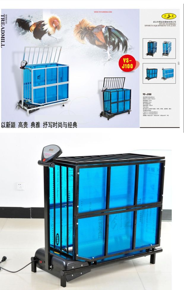 Nhà máy mới Yu Hao trực tiếp máy chạy bộ máy chạy bộ thú cưng máy chạy bộ mèo máy chạy bộ nhỏ động vật máy chạy bộ thủy triều hàng hóa - Máy chạy bộ / thiết bị tập luyện lớn mua may chay bo
