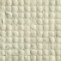 Белый лак -кокосовый кокосовый раковина