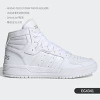 EG4341 Гарантированная подлинность поддерживает идентификацию