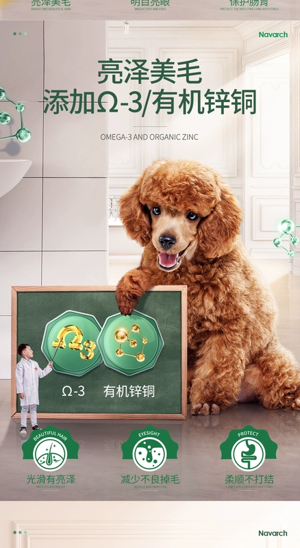 Chó  VIP Teddy dành cho người lớn đặc biệt 5kg10 kg 10 tháng trở lên chó nhỏ để làm thức ăn cho chó tự nhiên - Chó Staples