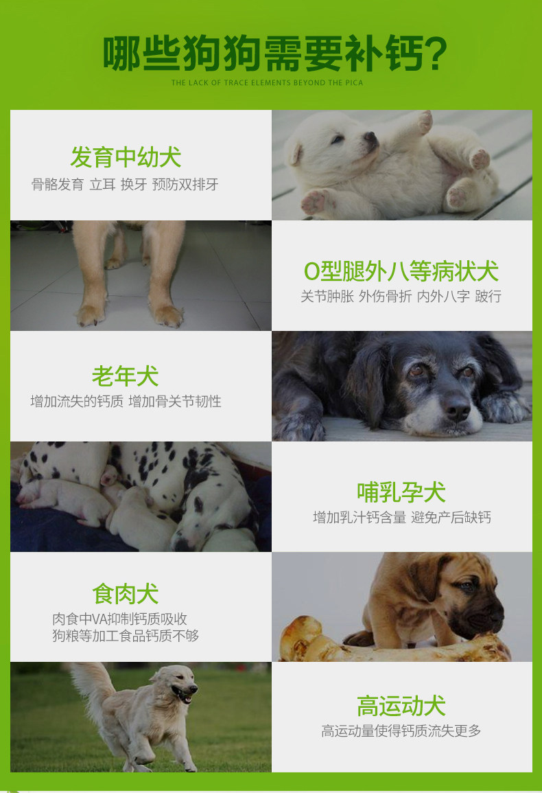 耐威克宠物钙片狗狗牛乳钙片大型小型犬金毛泰迪幼犬健骨补钙 价格厂家求购使用说明 上海耐威克宠物用品有限公司