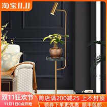 Nordic floor lamp ins living room bedroom bedside lamp creative coffee table Post Modern simple LED vertical floor lamp
