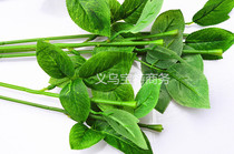 Soap flower pole dedicated for single roses DIY production of simulated green leaf pole bouquet making materials and accessories