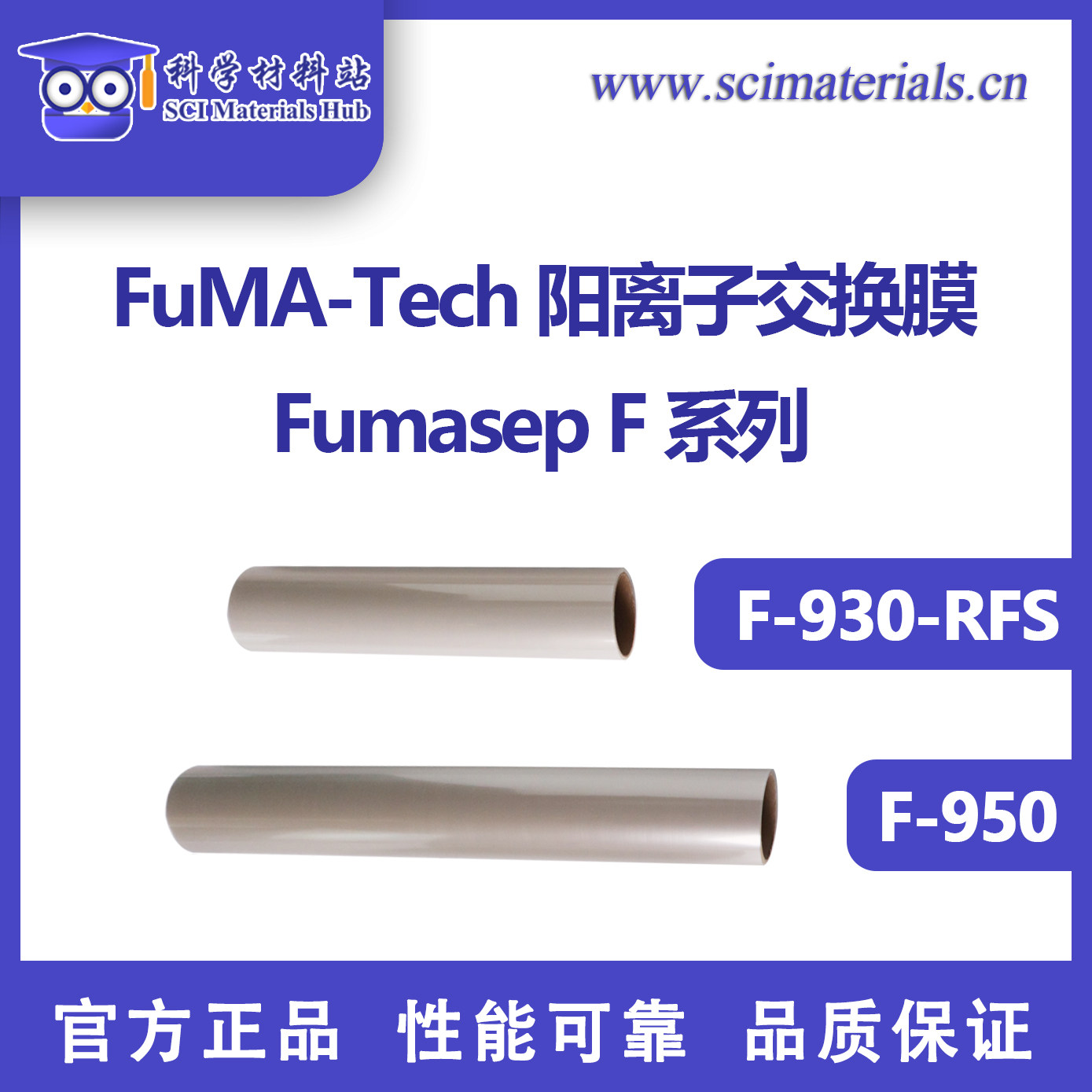 德国FuMA Fumapem F-930/930-RFS/950/14100 质子交换膜