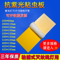 Fly paper fly-extinguishing lamp sticky insect board mosquito repellent lamp sticker food restaurant with fly-extinguishing bug 10