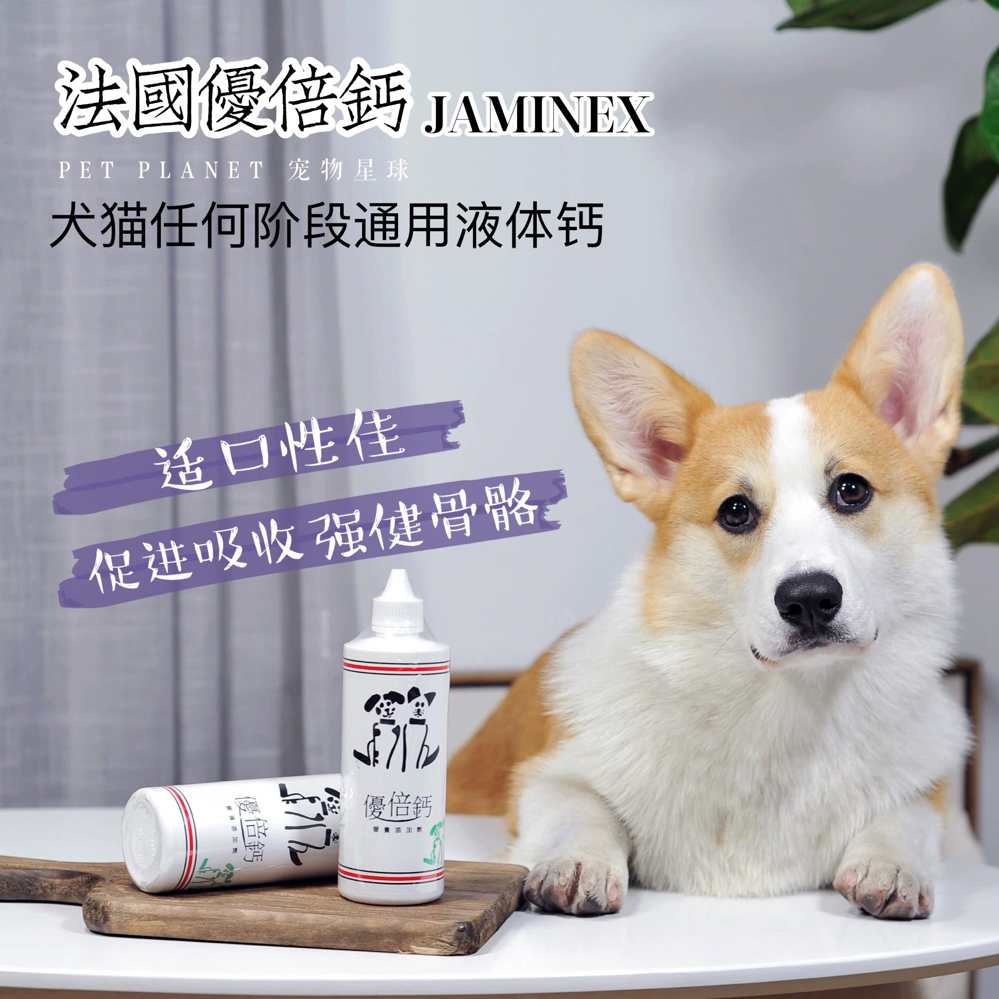 PET PLANET / France JAMINEX Eucalyptus, đổi tên thành chìa khóa Jieneng, chó, mèo và chó lỏng 225cc - Cat / Dog Health bổ sung