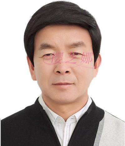 Perruque cheveux raides Court - Ref 2609160 Image 15