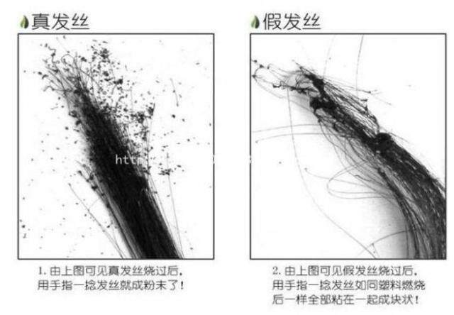 Extension cheveux - Ref 224526 Image 24