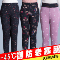 Autumn and Winter cotton-wadded trousers printing camel trousers middle-aged womens pants elastic waist elastic straight leg 50-year-old mother pants