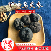 Yunnan Wild Wuling Ginseng Chinese Herbal Medicine Dried Wuling Ginseng Thunder Zhenzi Wuli Ginseng Chicken Egg 50g