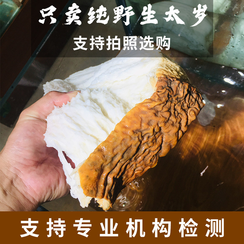 Tai Sui meat Ganoderma lucidum pure natural wild whole skinned white meat soil Tai Sui live water-soaked Peisheng 50g live Tai Sui