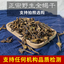 Scorpion dried Chinese herbal medicine whole insect 100g clear water Scorpion dried whole whole sulfur-free salt-free bubbling wine grinding powder