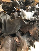 Yangjiang dry sea leading dry goods special thick meat wild kelp root dry goods 250g sand-free easy to foam fresh seaweed