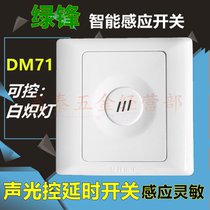 Green front sound and light control sensor switch DM71 86 type electronic intelligent stair walkway two-line incandescent lamp