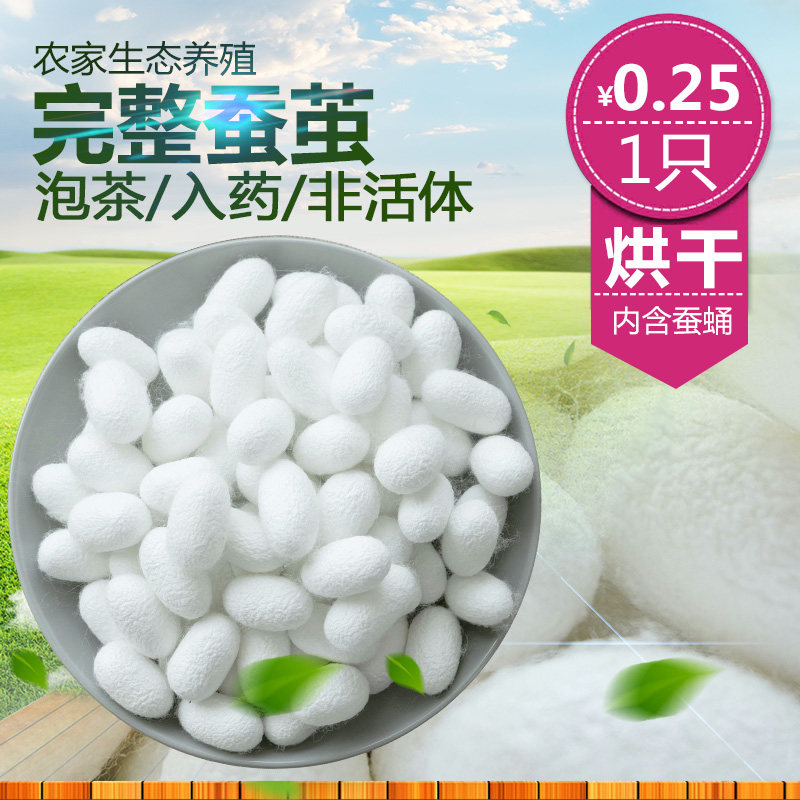 Natural Dried Complete Silkworm Cocoons with Pupae, Hand-Painted Silk Cocoon Shells, Silk Fan Made from Silk Cocoon