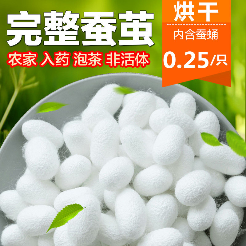 Natural Dried Complete Silkworm Cocoons with Pupae, Hand-Painted Silk Cocoon Shells, Silk Fan Made from Silk Cocoon