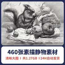 Still life sketch in the college entrance examination hand-painted picture painting copy combination reference high-definition structure electronic version material