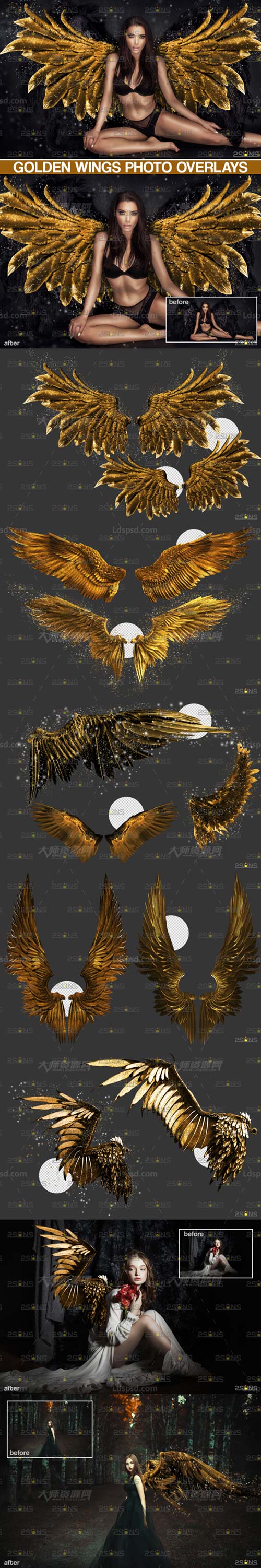 Gold Fairy Wings Overlay.jpg