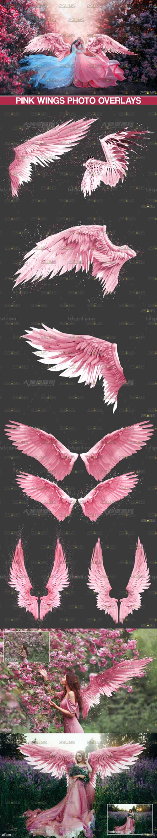 Pink Angel Wings Overlay.jpg