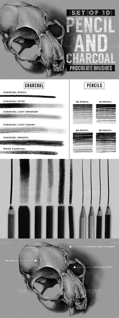 Pencil & charcoal Procreate brushes,极品Procreate笔刷－10支铅笔和炭笔效果