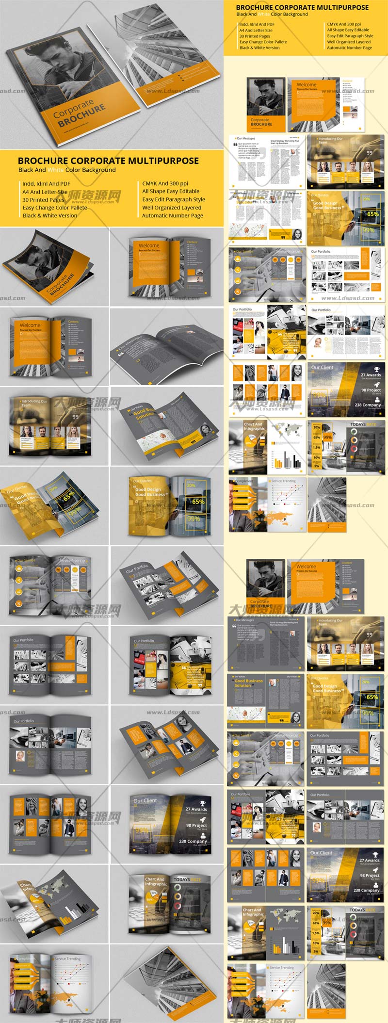 Brochure Corporate Multipurpose,indesign模板－精美的商业画册(通用型)