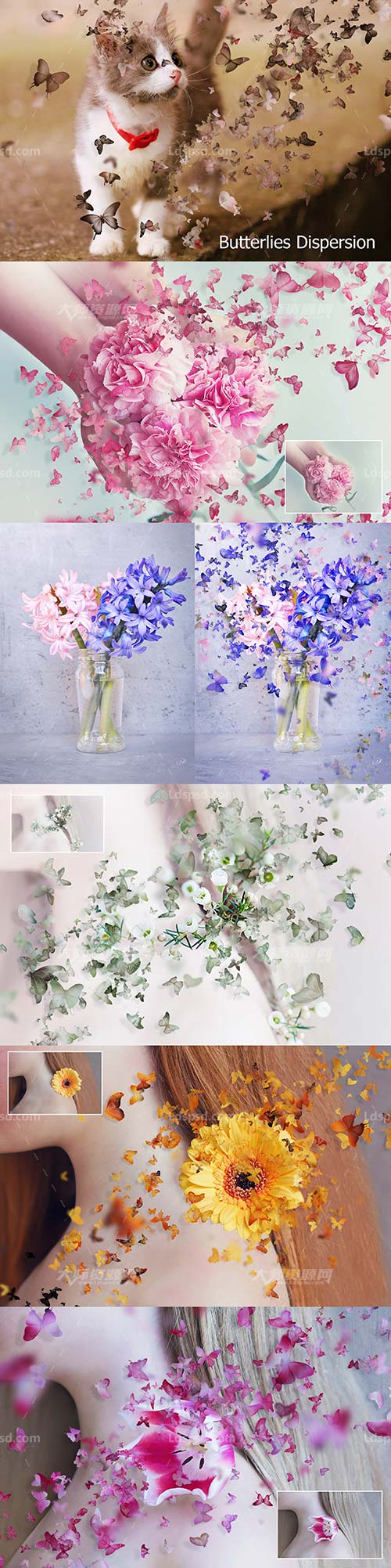 Butterflies Dispersion,极品PS动作－蝴蝶散离(新版/含PDF图文教程)