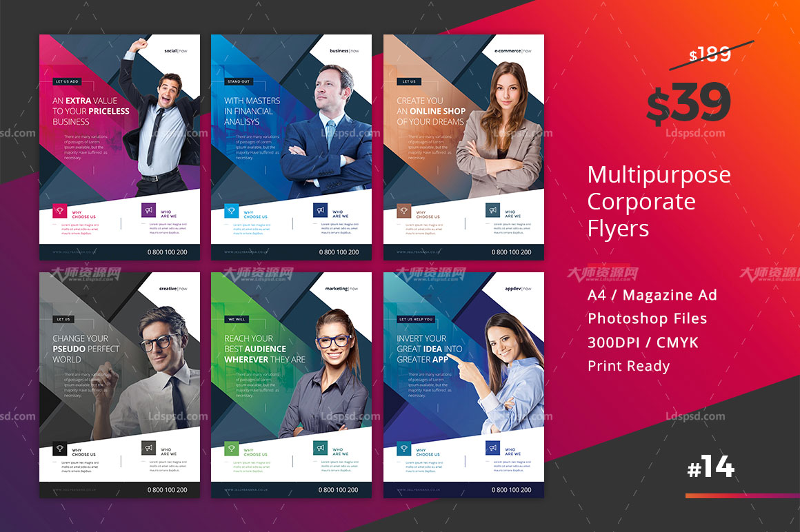 Corporate Flyer 6 Multipurpose Business Templates Vol 14,通用型商业传单/个人简历模板(6色/第14套)