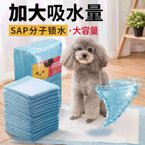 Pooch Urine Mat Teddy Chai Dog Kirkefer bib Bears Snowneria Rupee Not Wet Kitty Toilet Deodorized Pet Supplies