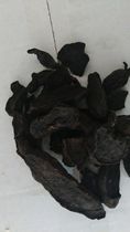 Low-temperature roasted Polygonum multiflorum ground into powder cooked Polygonum multiflorum roasted Polygonum multiflorum.