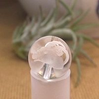 Шампанское Скорпион Сингл