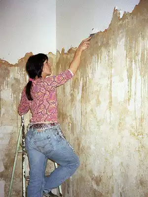 Wall repair paste Wall repair white batch soil powder interior wall household talc waterproof wall hole repair renovation artifact