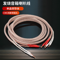 Jinbao Fever Speaker Line 12TC Speaker Line Horn Line Dual Wire Split Sound Power Amplifier Speaker Connection Line Sound Wire