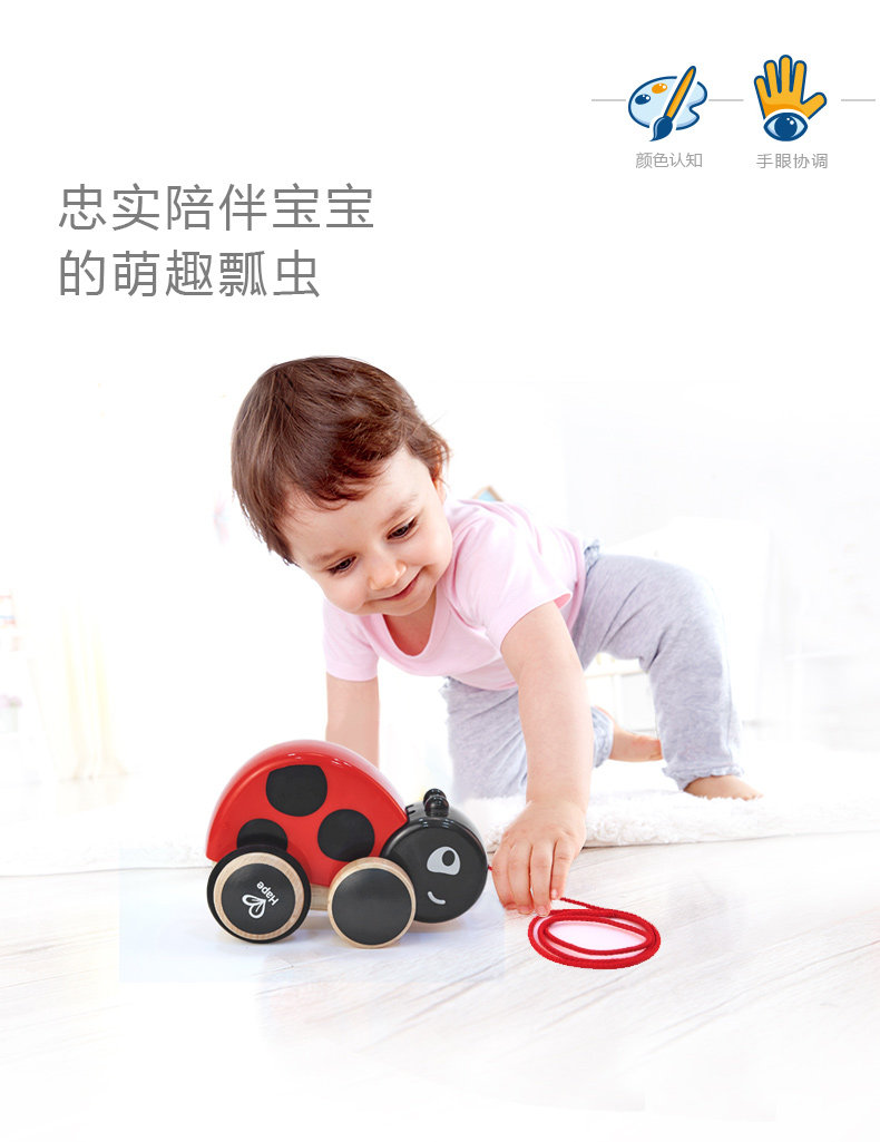 E0362 DRAG LADYBUG_03.JPG