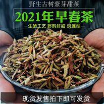 2021 spring tea wild ancient tree purple bud tea Yunnan tea bud tip raw Camellia fruit fragrance loose tea half a catty