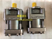 Japan Sumitomo high pressure oil pump QT33-10F-AQT33-12 5F-AQT33-16F-A Z