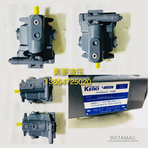 Japan TOKIMEC oil pump P31VFR-20-CC-21-J Piston pump P31VR-13-CM-20-S121-J