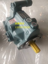 Japan's Great Gold Hydraulic Pump V15A1RY-85 Oil Pump V15A1RY-95 V15A1RY-95S23