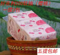 Good luck 200 paper towel 2 layers of net soft paper paper C07200 1 lift (3 packs) for sale 5 lift