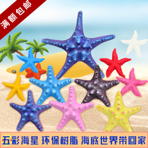 Fish Tank Building Simulation Coral Natural Shell Sea Star Saddam Hussein Aquarium Seabed World Cloth View Decoration Small Hem