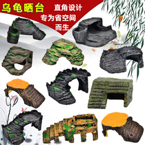 Turtle Sun Terrace Climbing Terrace High Water Level Stones Shelter From Cave Climbing To Hide From House Grass Turtle Basil Climbing Terrace Sun Back Terrace