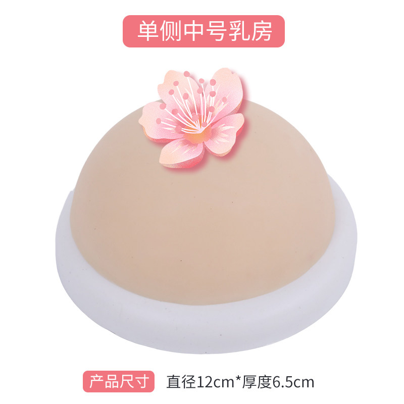 女性乳房模型催乳房师培训乳房经络按摩护理模型义乳假胸模型